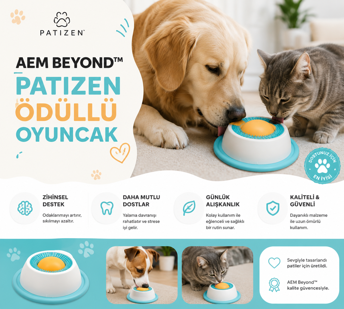 AEM BEYOND PATIZEN