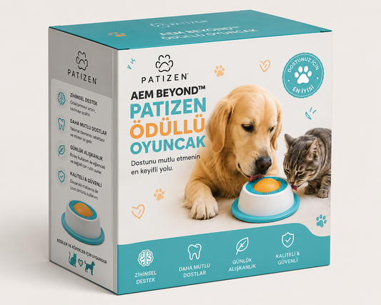AEM BEYOND PATIZEN