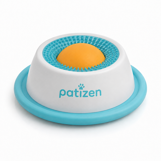 AEM BEYOND PATIZEN